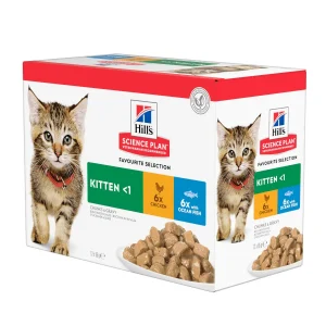 Hill's Kittenn Science Plan Frango e Peixe saqueta para gatos - Multipack 12