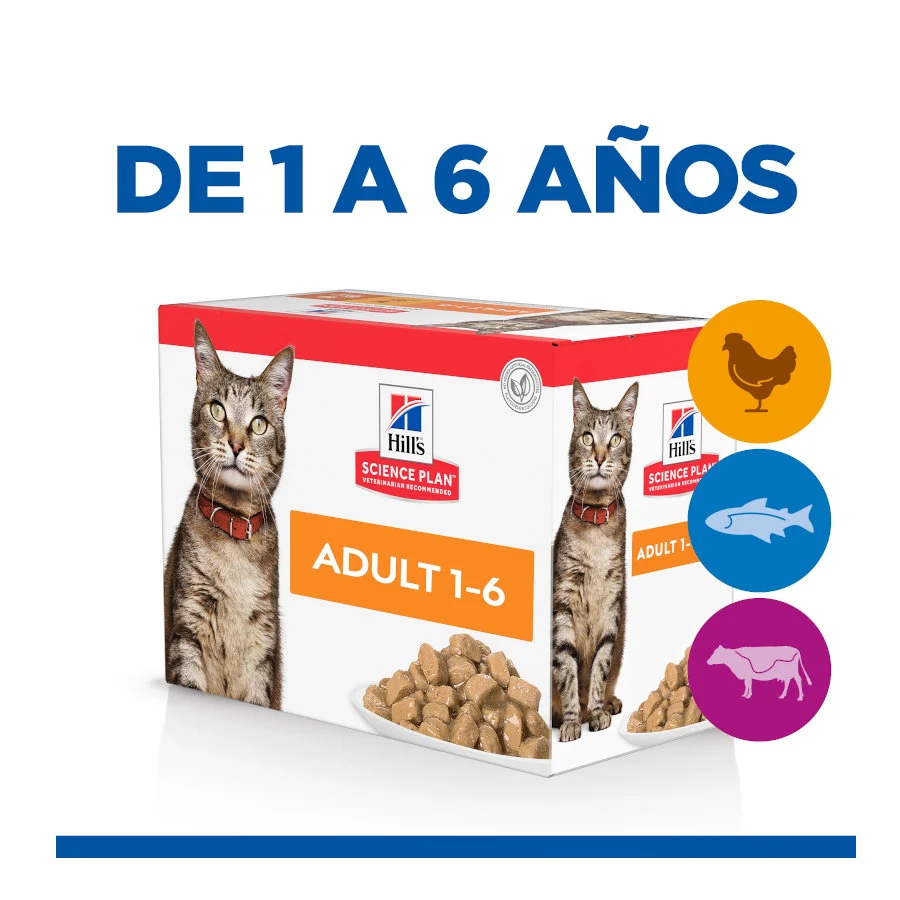 Hill's Science Plan Adult Frango, Peixe Azul e Carne em Molho para Gatos - Image 2