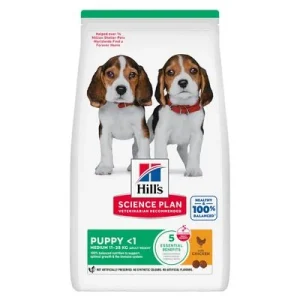 Hill's Science Plan Puppy <1 Medium com frango