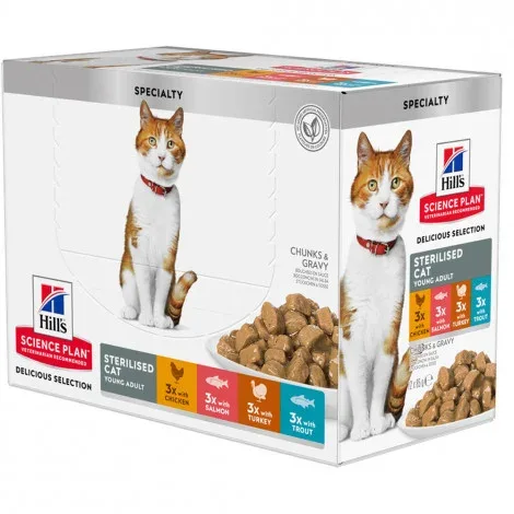 Hill’s Sterilised Young Adult – Alimento em molho para gato jovem esterilizado – Pack de frango, salmão, peru e truta – Quantidade: PACK 12 x 85 g
