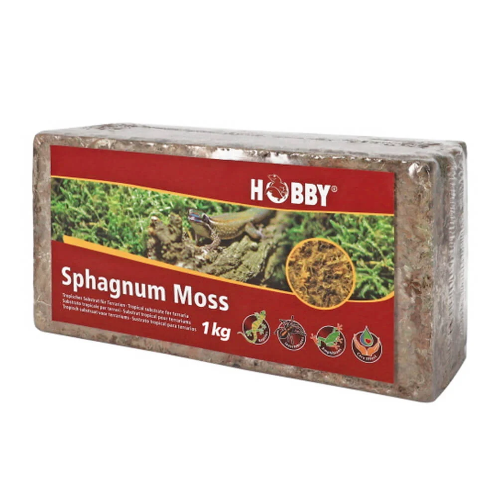 HOBBY – MUSGO “SPHAGNUM”