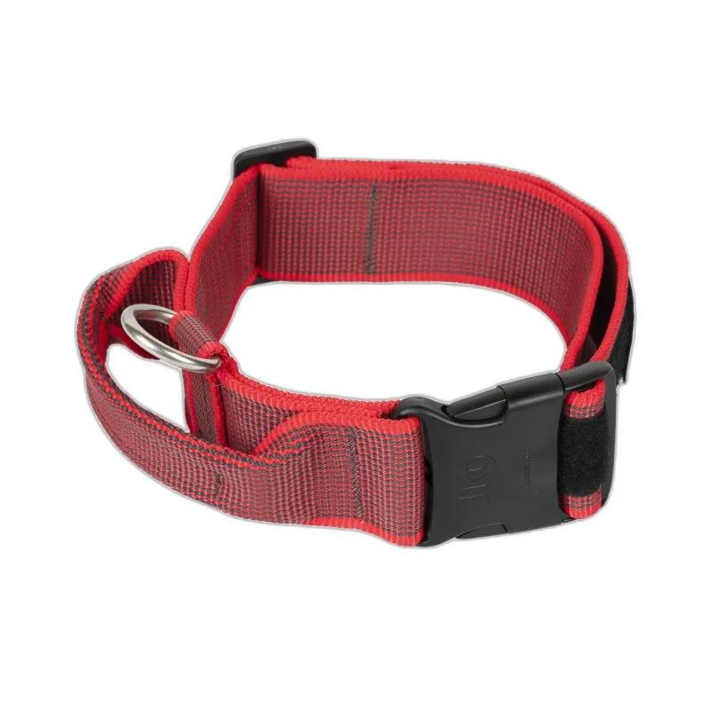 Julius-K9 Coleira Color & Gray com Pega para Cães Vermelha, Resistente