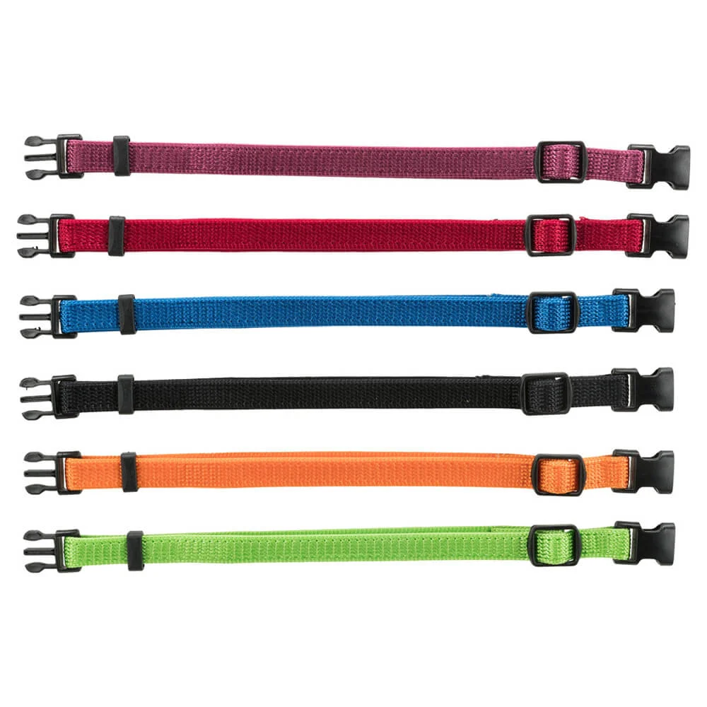JUNIOR – COLEIRAS PARA CACHORROS – CORES BASE (6 UNIDADES)