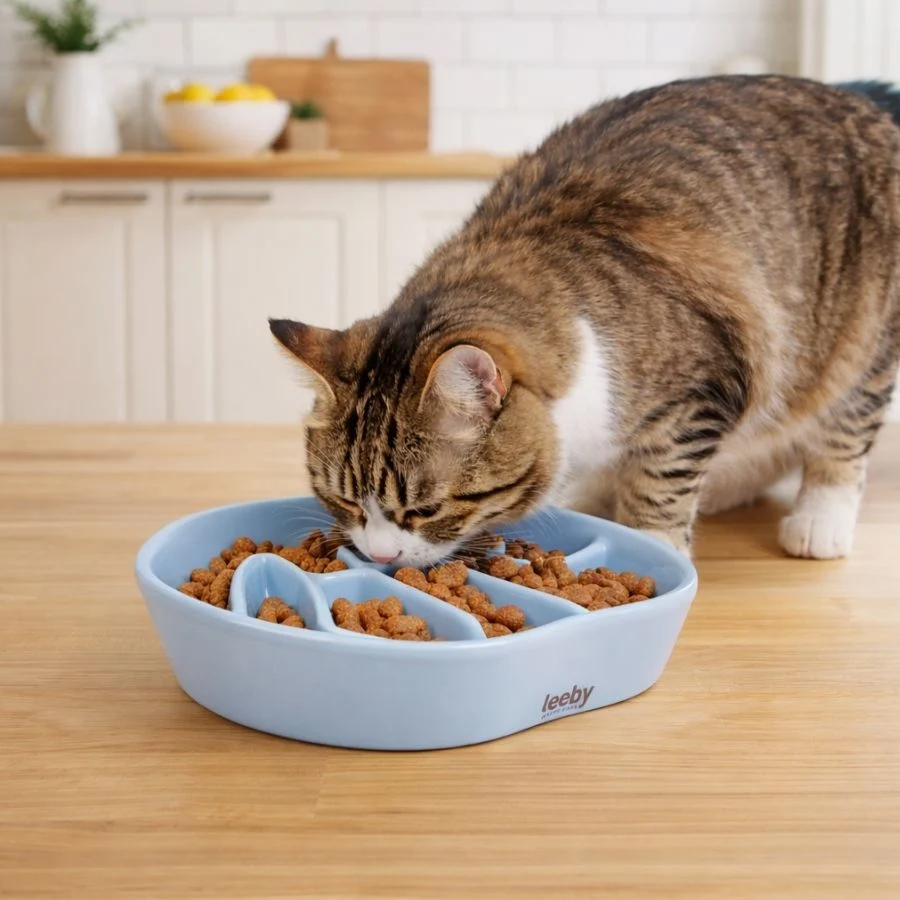 Leeby Comedouro Antivoracidade de Cerâmica para gatos