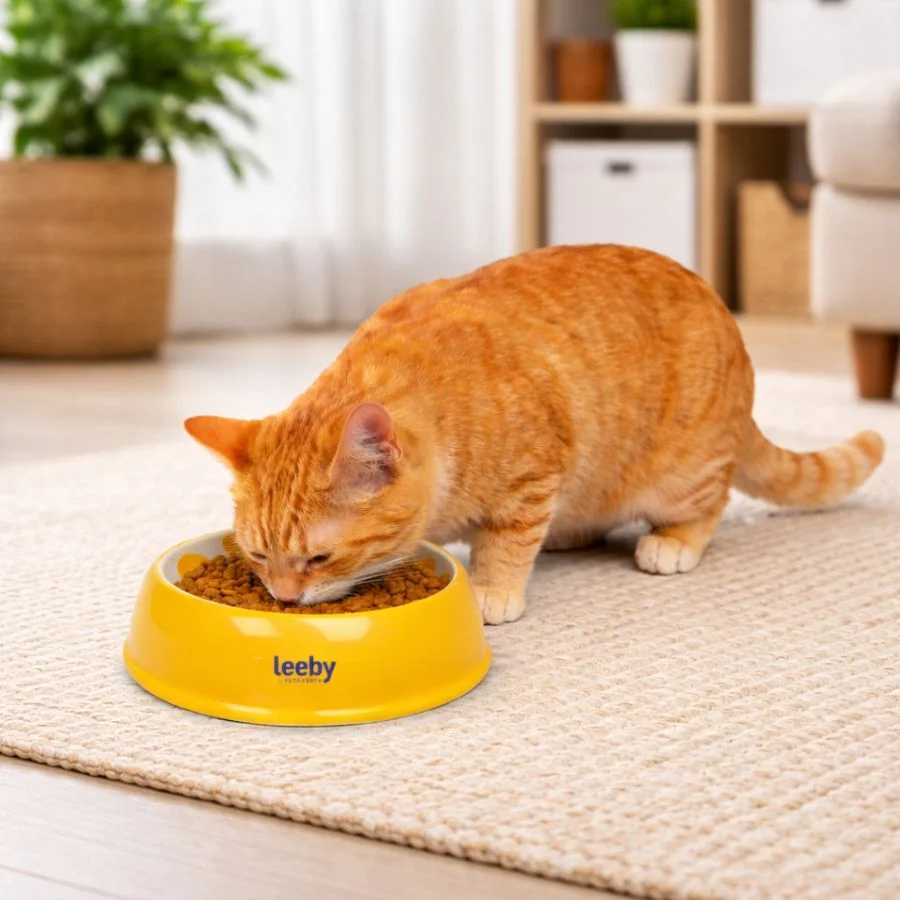 Leeby Comedouro de Cerâmica Estampado Limão para gatos