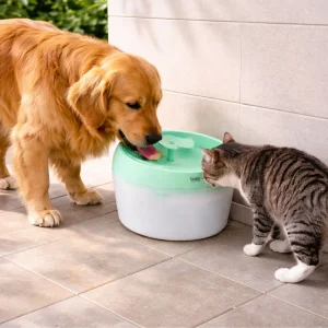 Leeby Fonte de Água Verde para cães e gatos