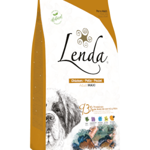 Lenda Cão Maxi Adulto 12kg
