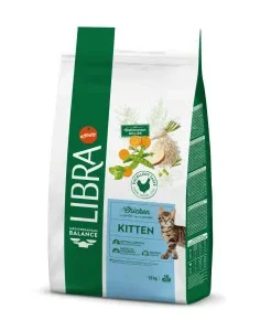 Libra Gato Kitten