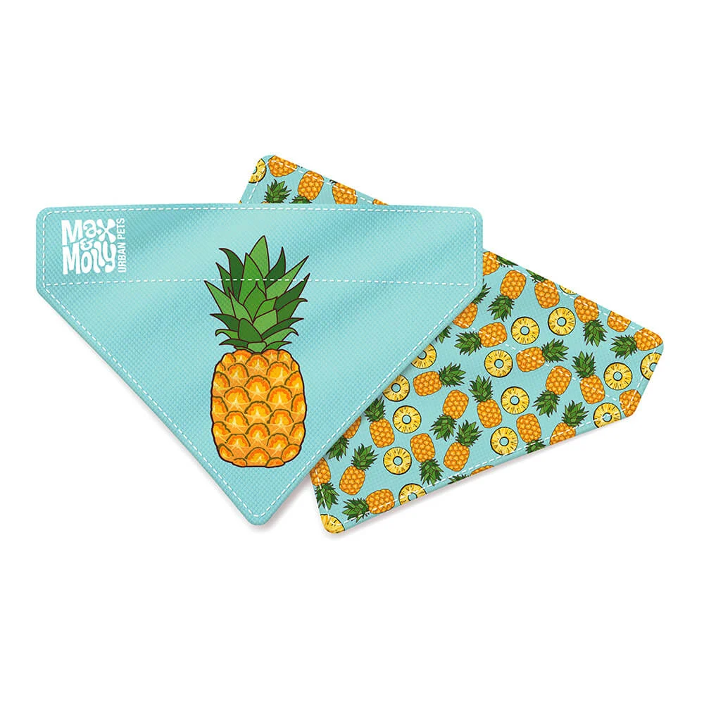 MAX & MOLLY – BANDANA “SWEET PINEAPPLE” - Image 2