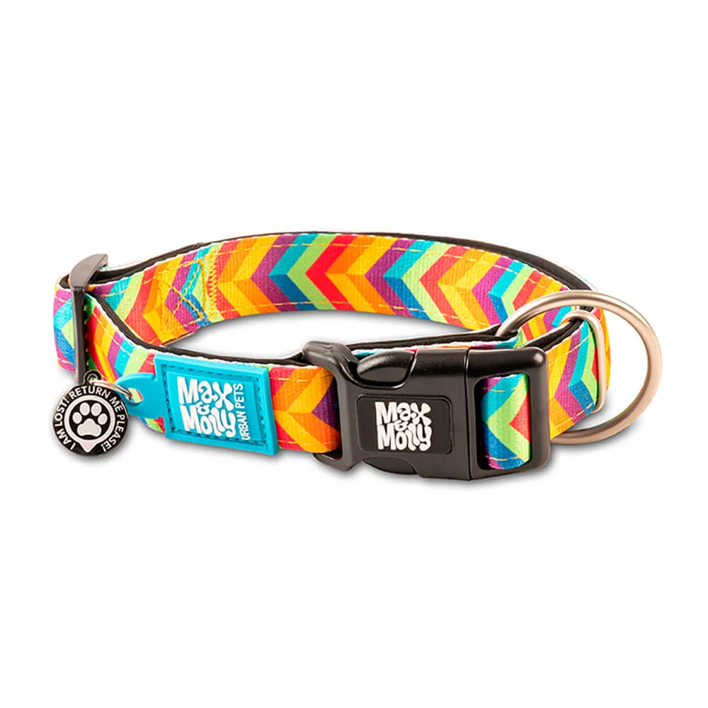 MAX & MOLLY – COLEIRA COM ID TAG “SUMMERTIME”
