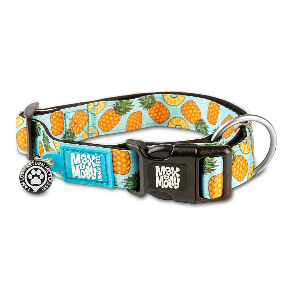 MAX & MOLLY – COLEIRA COM ID TAG “SWEET PINEAPPLE”