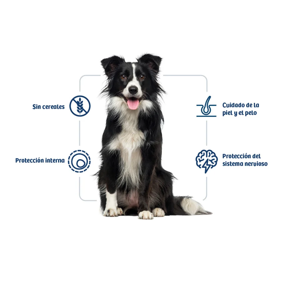 Nath Adult Medium / Maxi Sensitive Peixe Branco e Salmão ração para cães - Image 2
