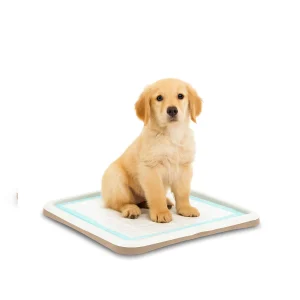 Nice Care Tabuleiro higiénico Gastone Bege para cães