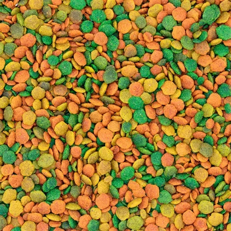 NutriBird G14 Tropical – Manutenção 1KG - Image 2
