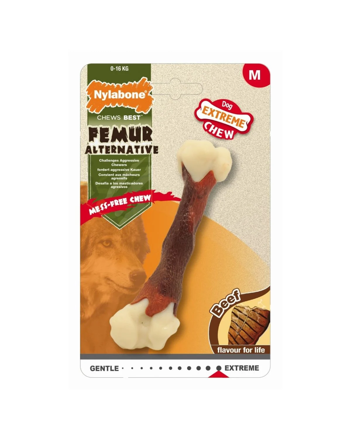 Osso Nylabone Chew Femur