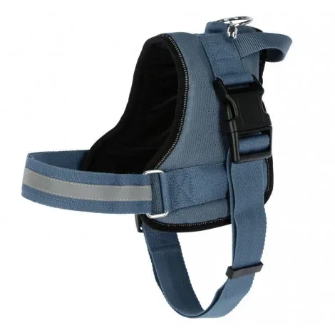 Peitoral Maestro 2.0 para cão – Kerbl – Cor do Produto: Azul petróleo | Medidas: 57-77 cm/20 mm