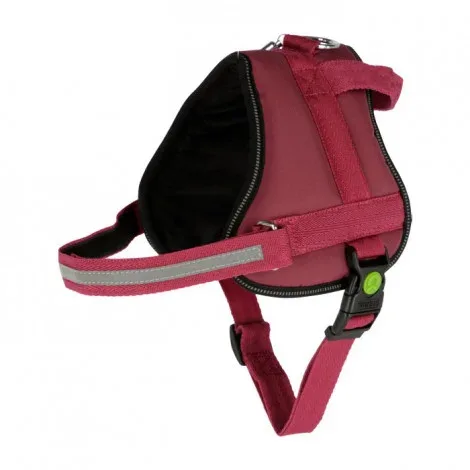 Peitoral Maestro 2.0 para cão – Kerbl – Cor do Produto: Vinho | Medidas: 72-103 cm/30 mm