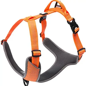 Peitoral True Love Laranja – TLH6071