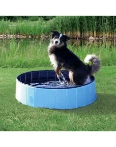 Piscina para Cães