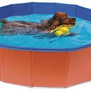 Piscina para cão