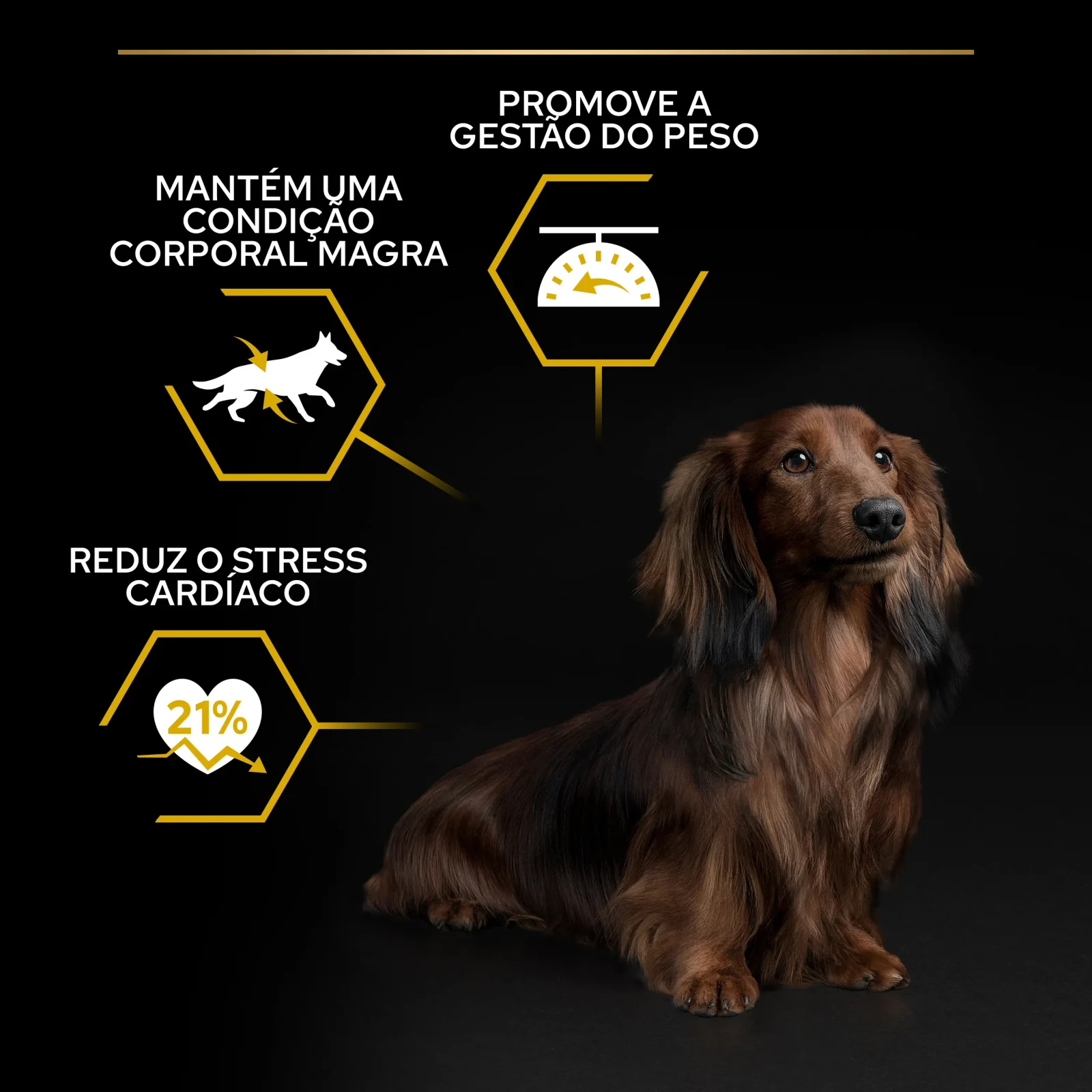 Pro Plan Cão Adulto Mini Light / Sterilised Rico em Frango 7kg para cão Adulto Pequeno para Controlo do Peso - Image 2