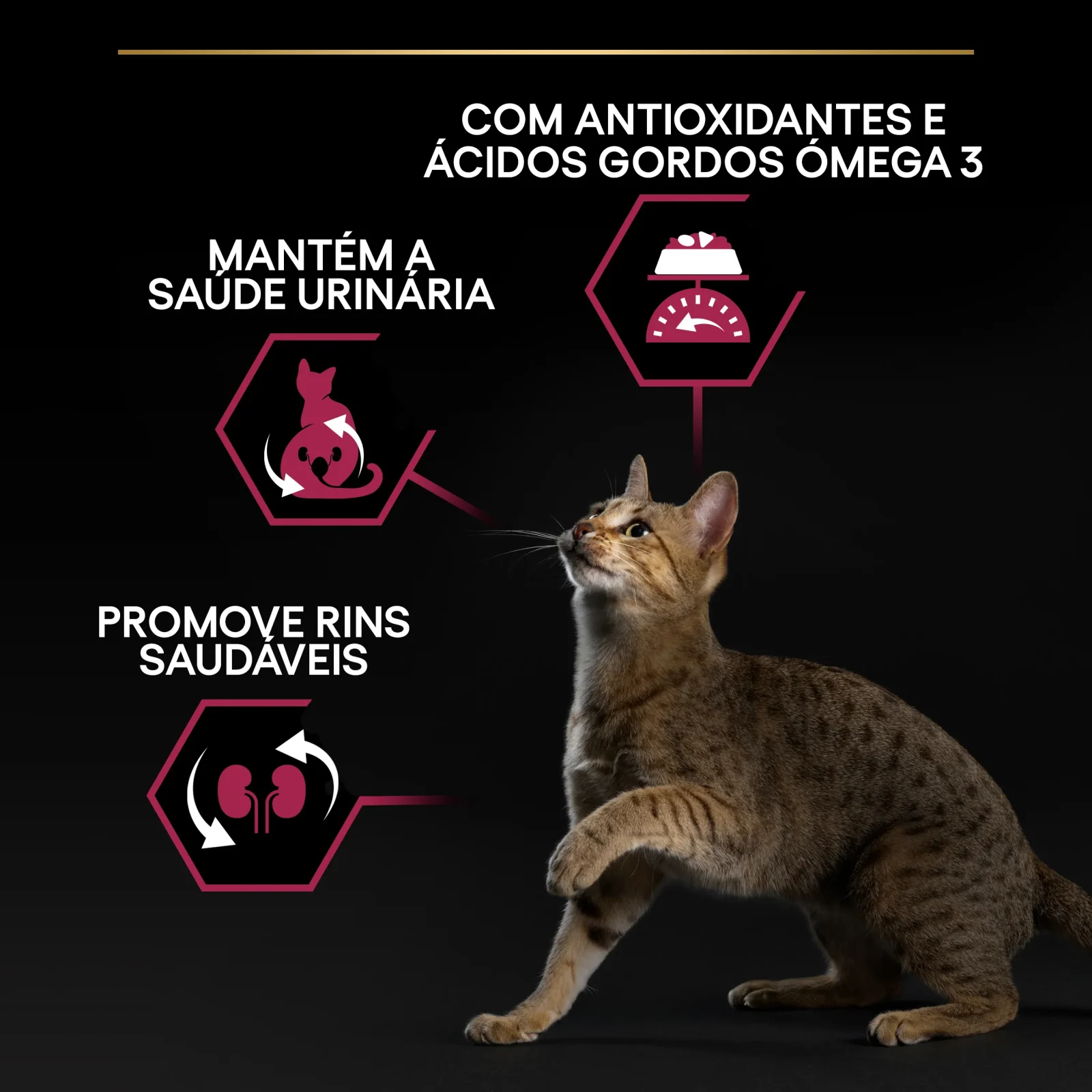 Pro Plan Esterilizado Duo Saboroso Bacalhau e Truta 1,5kg para gato adulto esterilizado - Image 2