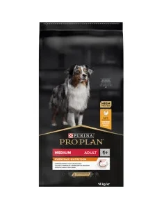 ProPlan Everyday Nutricion Medium - Ração seca para cão adulto médio - Frango
