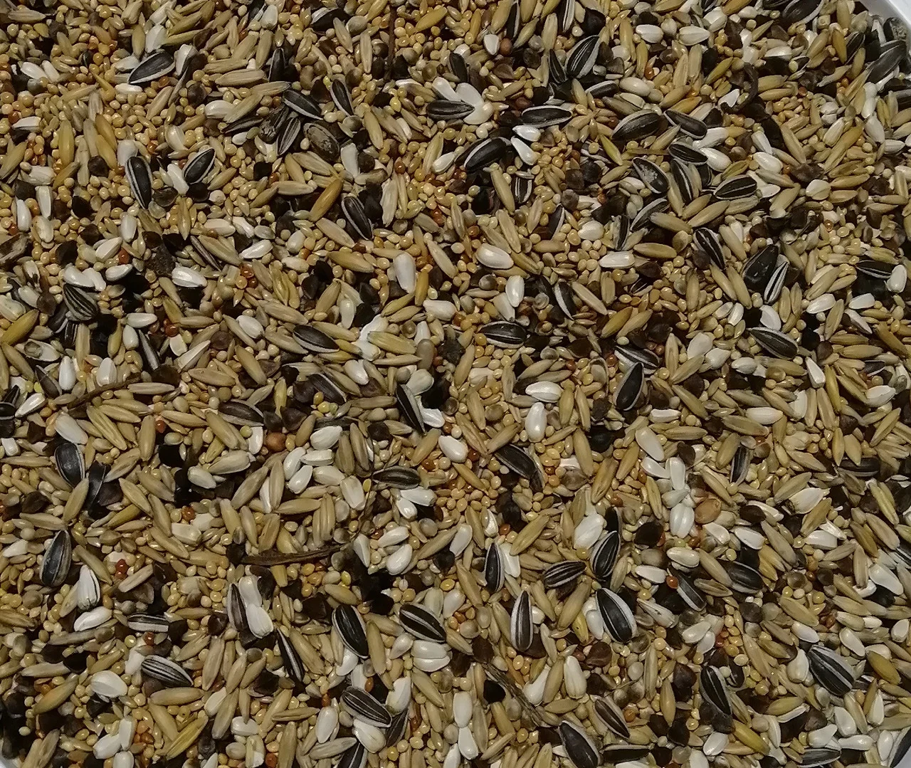Psittacula Mix Rafael Castanheira 20Kg – Meeks