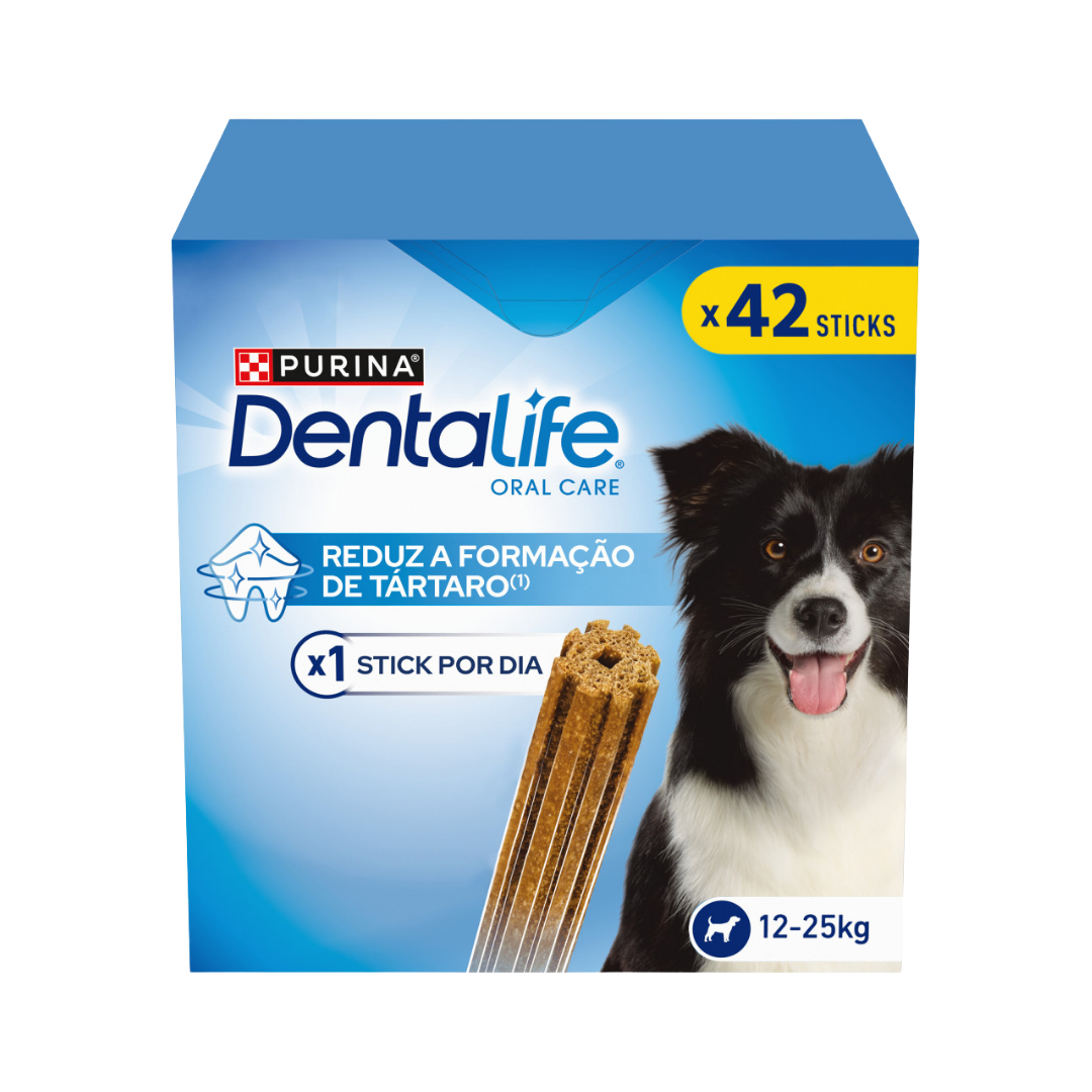 Purina Dentalife Snack para Cão Adulto Médio – Big Pack