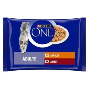 PURINA ONE Adult