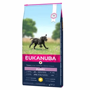 Ração para cães Eukanuba Puppy Large Breed Chicken