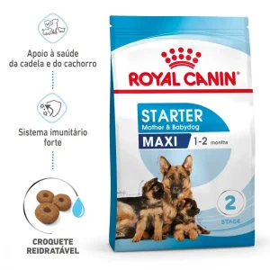 Ração para cães Royal Canin Maxi Starter