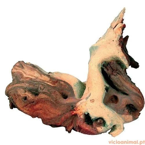 Raiz Natural Mopani - Image 2
