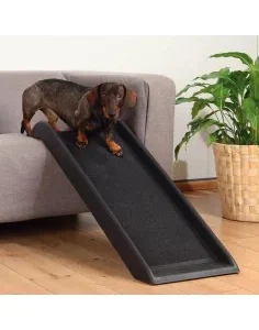 Rampas para Cães Idosos