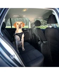 Rede de Protecção Auto