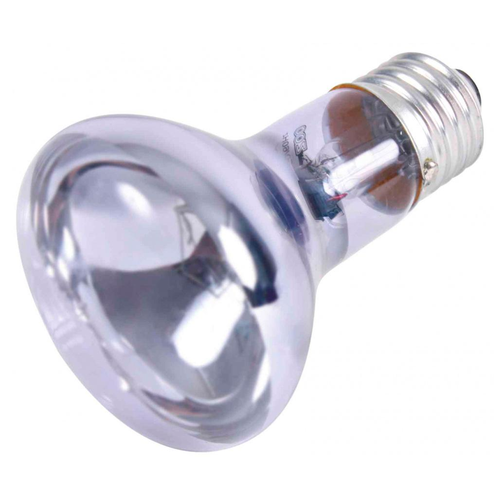 REPTILAND – NEODYMIUM BASKING SPOT-LAMP 35W - Image 2