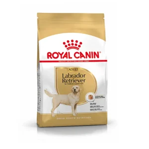 Royal Canin Adult Labrador Retriever ração para cães