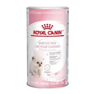 Royal Canin Babycat Milk 300G para gatinho