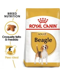 Royal Canin Beagle Adult - Ração Seca para Beagle