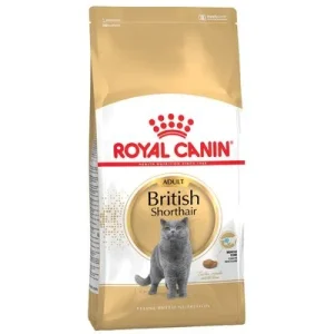 Royal Canin British Shorthair Adult