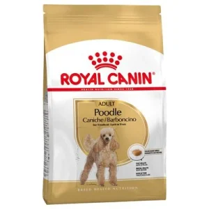 Royal Canin Caniche Adult