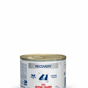 Royal Canin Canine/Feline Recovery 195gr comida húmida para gato e cão