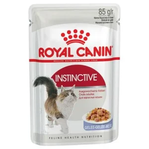 Royal Canin comida húmida para gatos 24 x 85 g - Pack económico