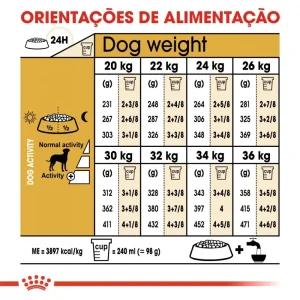 Royal Canin Dálmata Adult 12kg – Ração Seca para Cães Dálmata Adultos