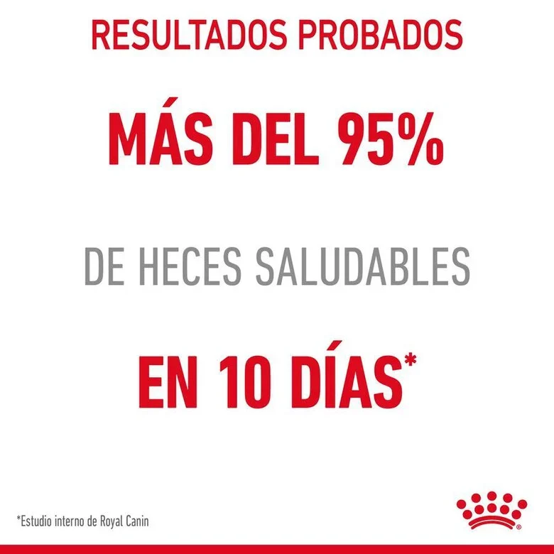 Royal Canin Digestive Sensitive saquetas para gatos - Image 2