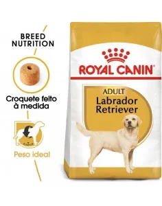 Royal Canin Labrador Retriever Adult - Ração Seca para Labrador Retriever Adulto