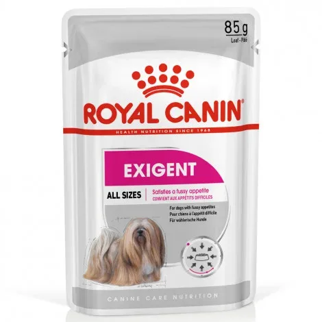 Royal Canin Exigent Adult – Alimento em patê para cão com apetite exigente – Quantidade: 85 g