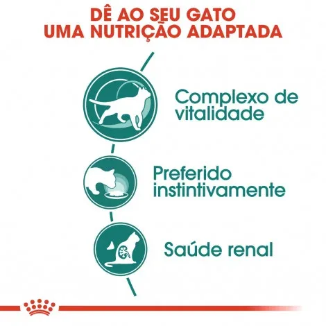 Royal Canin Instinctive 7+ – Alimento em molho para gato com mais de 7 anos – Quantidade: 85 g