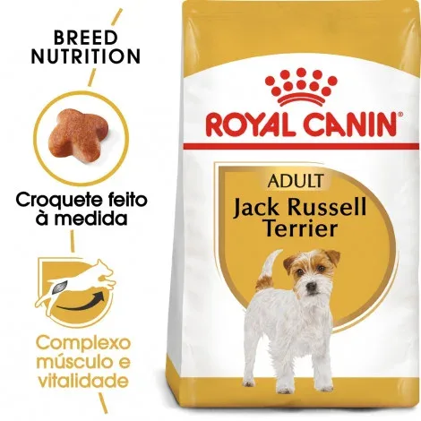 Royal Canin Jack Russel Terrier Adult – Ração seca para cão de raça – Quantidade: 3 kg