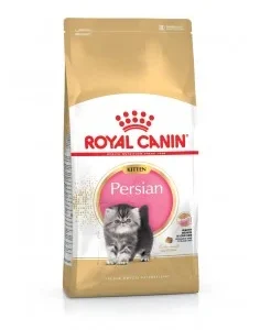 Royal Canin Kitten Persian Gato, Alimento Seco